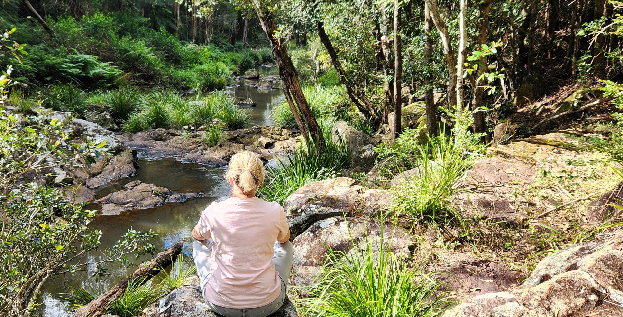 faye moments of reflection