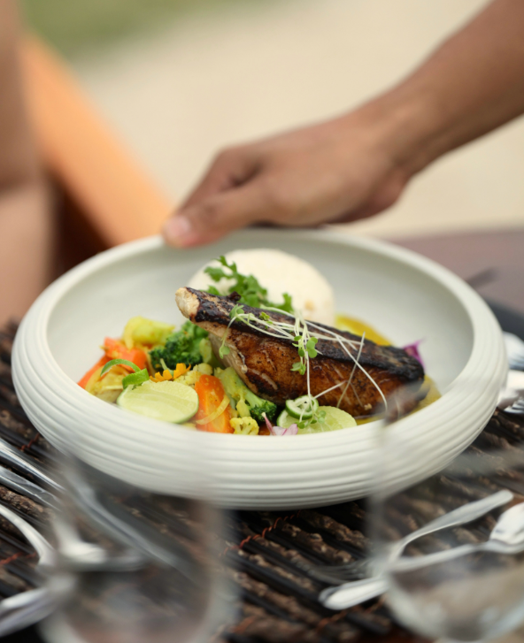 plate of food being served